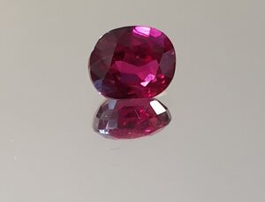 20191110_020700.jpg
