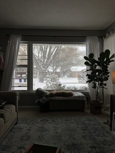 B3E8EE09-7C60-4DAA-94AC-CE35886C5F6B.jpeg