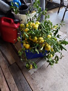 20191114_072511.jpg
