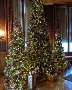 IMG_20191115_180639_160.jpg