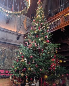 IMG_20191115_155456_378.jpg