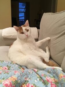 IMG_0274.jpg