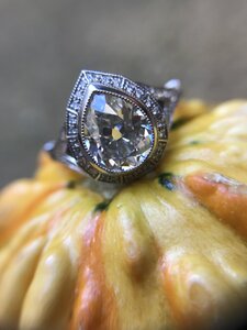 IMG_9996.jpg
