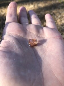 IMG_7566.jpg