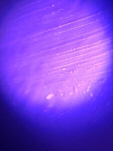 3056F587-4EE5-40F7-A889-7A767FE68706.jpeg