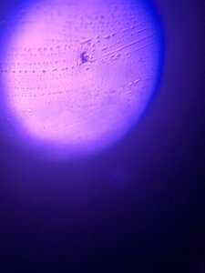 C62D0263-40ED-4210-BF12-78CBDBA1C112.jpeg