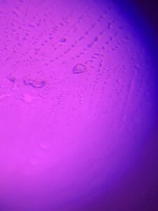 05B2CC3F-1908-45AC-A214-905A165DAE05.jpeg