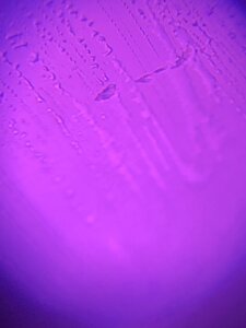 9F46ED24-1A20-47FA-8671-0BE5A314DAB4.jpeg