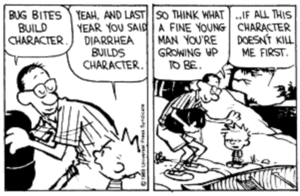 calvinandhobbesresilient.png
