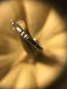 IMG_0240.jpg