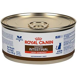 royalcanin.jpg
