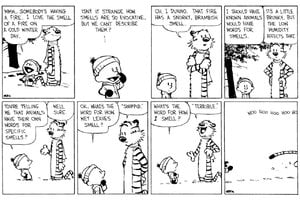 calvinandhobbesstinkysmell.jpg