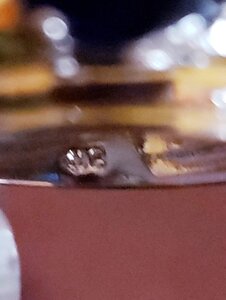 20191121_145855.jpg