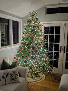 IMG_20191119_170903.jpg