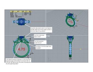Ring recast redesign.11.26.19.jpg