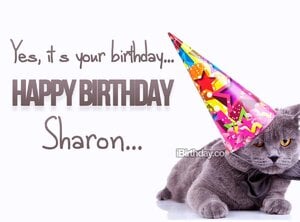 Sharon-Cat-Birthday-Wish.jpg
