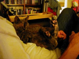 Samcuddle.jpg