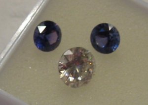 IMG_1171.jpg