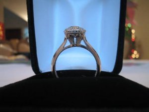 bidtacori1.jpg