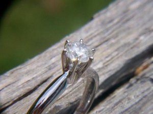 000_0486.JPG