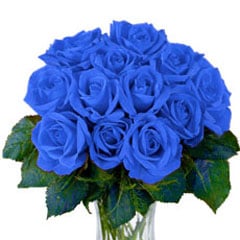 blue roses.jpg