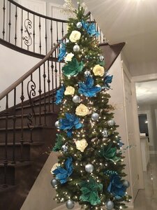 IMG_20191127_0110254.jpg