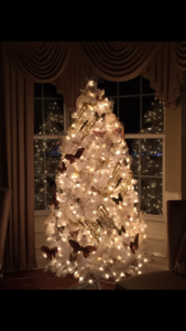 5F132CA5-3444-4F5E-8648-416268F612E3.png