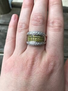 IMG_1344.jpeg IMG_1344.jpeg