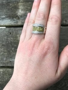 IMG_1341.jpeg IMG_1341.jpeg