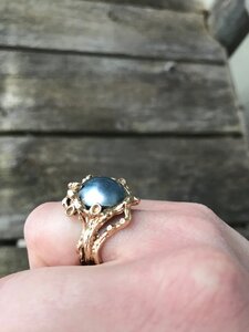 IMG_1356.jpeg