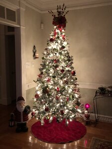 9C47D0FA-D166-4890-AD39-0629263FA474.jpeg