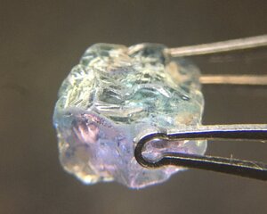 D9E2942B-018C-4F79-80AB-87347EC10710.jpeg