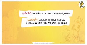 calvinandhobbeslifeiscomplicated.jpg