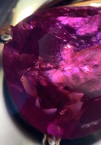 876F9D97-C72C-47CC-B125-D6916E778BB7.jpeg