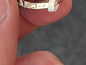 IMG_20191209_122637.jpg