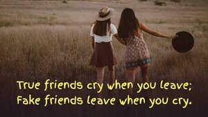 fakefriendsleavewhenyoucry.jpg