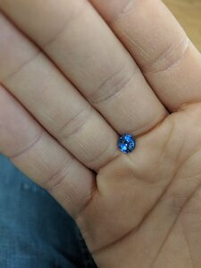 IMG_20191212_100745.jpg