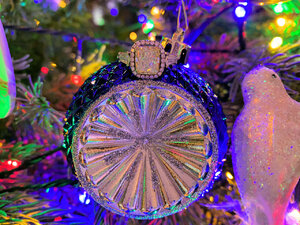 IMG_6574.jpg