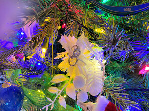 IMG_6582.jpg