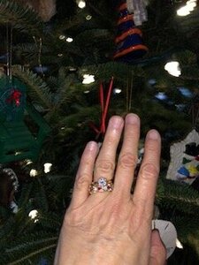 IMG_2212.jpg