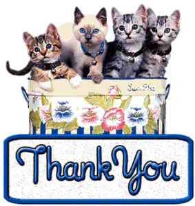 thankyoufromthecats.gif