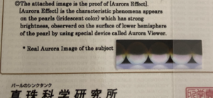 4972A4EA-B60A-44C4-B16B-A0180FA7ADA0.png