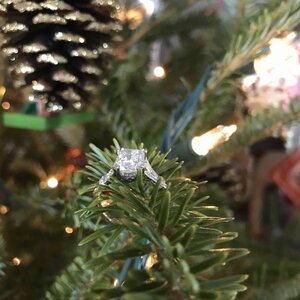 D2362B14-C3D2-4FD3-BB80-388726544D5F.jpeg D2362B14-C3D2-4FD3-BB80-388726544D5F.jpeg