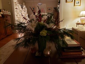 20191224_205203.jpg