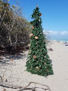 20191225_121906[1].jpg