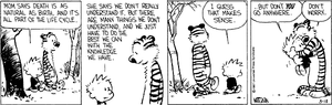 calvinandhobbesnewyearreflections.png