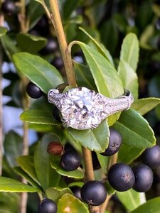 IMG_5144.jpg