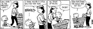 calvinandhobbesshopping.jpg calvinandhobbesshopping.jpg