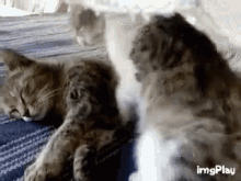 B3DCD793-3EA8-45D0-8BEC-5876AC3969FA.gif