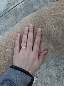 IMG_20200112_175228.jpg